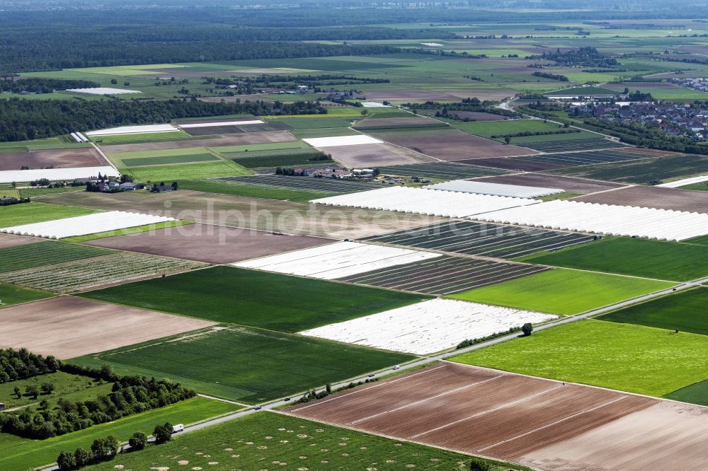 Aerial photograph Gernsheim - Structures on agricultural fields in Gernsheim in the state Hesse, Germany