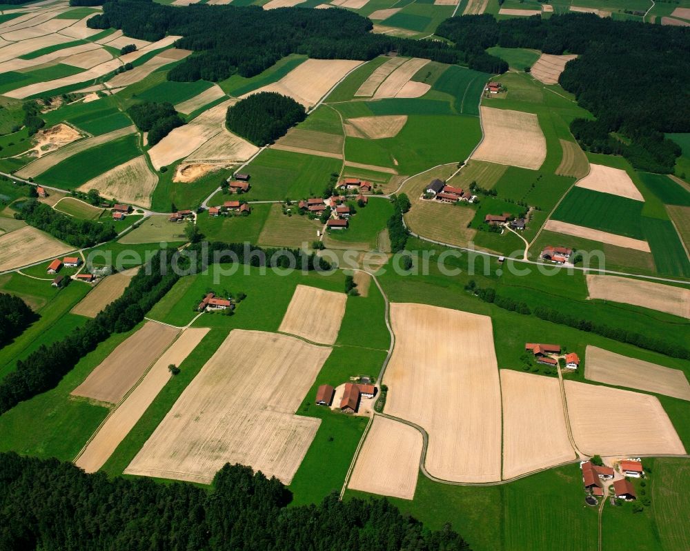 Aerial photograph Grasensee - Structures on agricultural fields in Grasensee in the state Bavaria, Germany