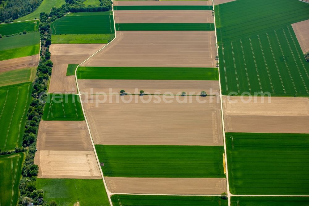 Aerial photograph Grevenbroich - Structures on agricultural fields in Grevenbroich in the state North Rhine-Westphalia