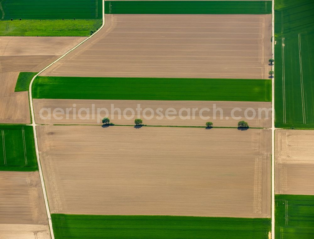 Grevenbroich from the bird's eye view: Structures on agricultural fields in Grevenbroich in the state North Rhine-Westphalia