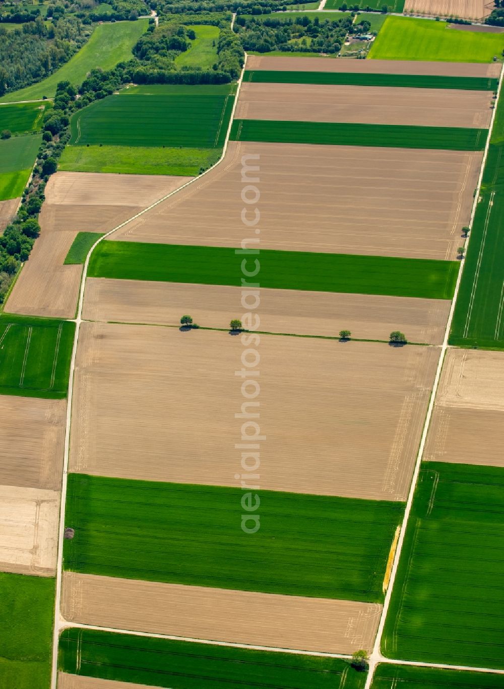 Aerial image Grevenbroich - Structures on agricultural fields in Grevenbroich in the state North Rhine-Westphalia