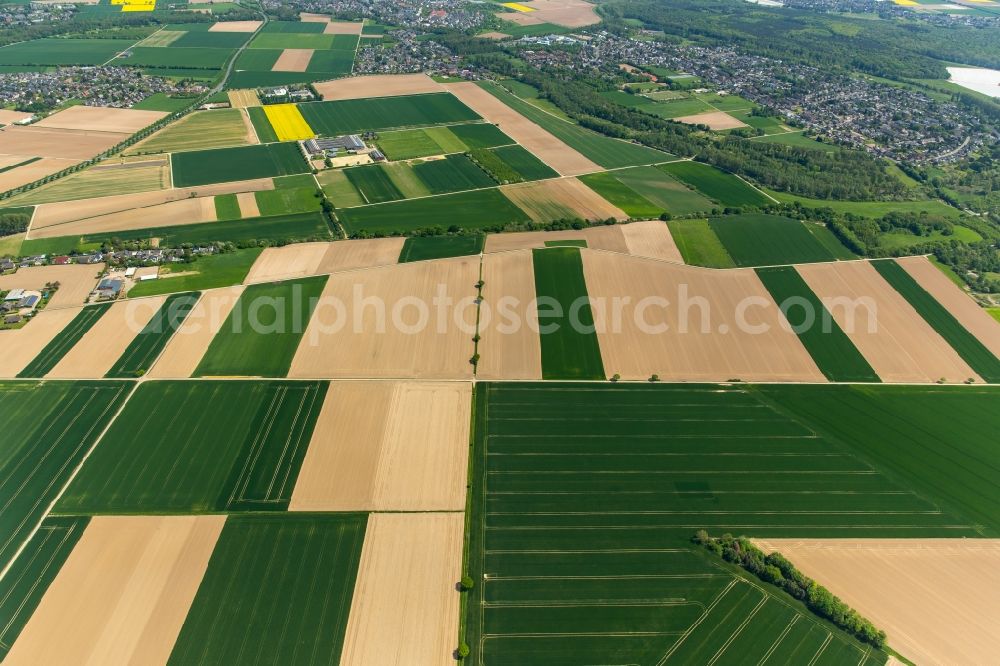 Aerial photograph Grevenbroich - Structures on agricultural fields in Grevenbroich in the state North Rhine-Westphalia