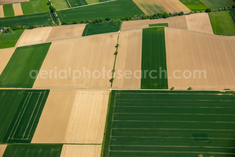 Grevenbroich from above - Structures on agricultural fields in Grevenbroich in the state North Rhine-Westphalia