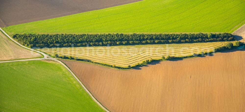 Großwinkelhausen from above - Structures on agricultural fields in Grosswinkelhausen in the state North Rhine-Westphalia