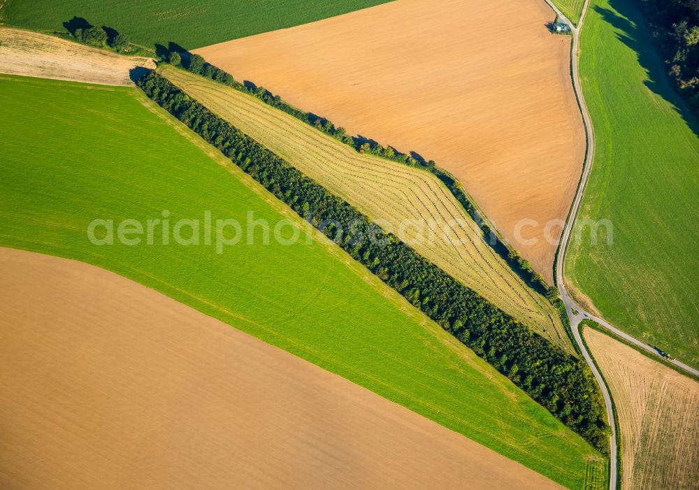 Großwinkelhausen from the bird's eye view: Structures on agricultural fields in Grosswinkelhausen in the state North Rhine-Westphalia