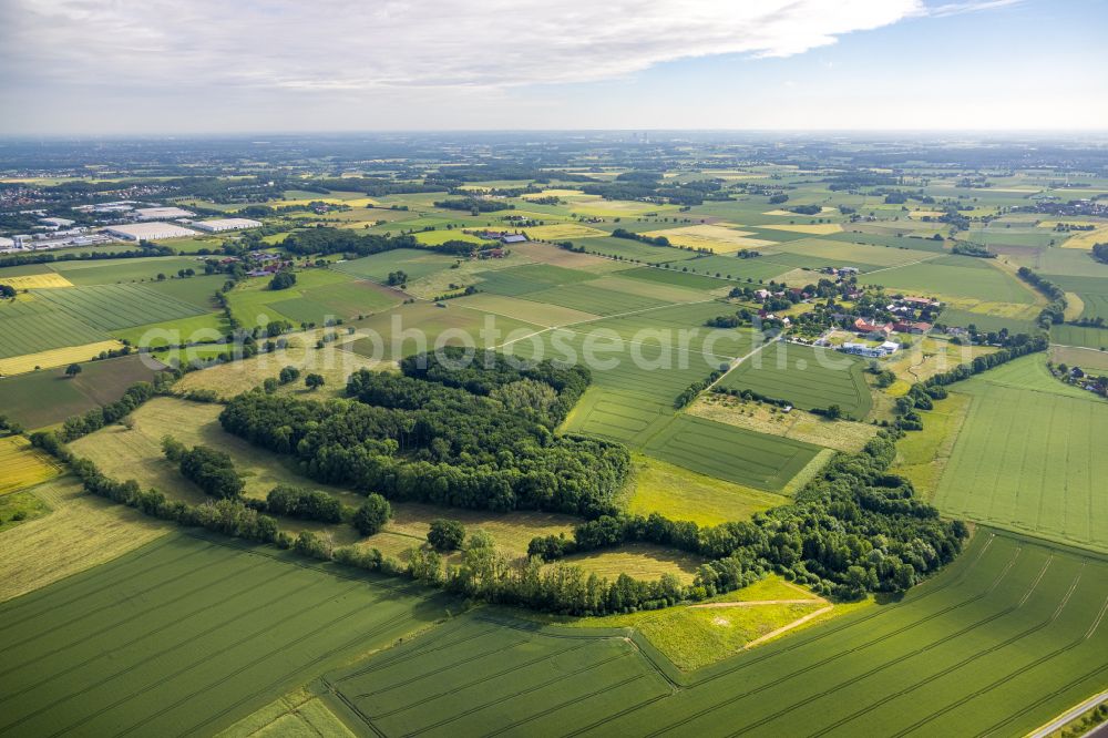 Aerial photograph Hamm - Structures on agricultural fields in Hamm at Ruhrgebiet in the state North Rhine-Westphalia, Germany