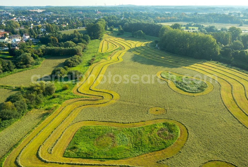 Aerial photograph Hamm - Structures on agricultural fields in Hamm in the state North Rhine-Westphalia, Germany