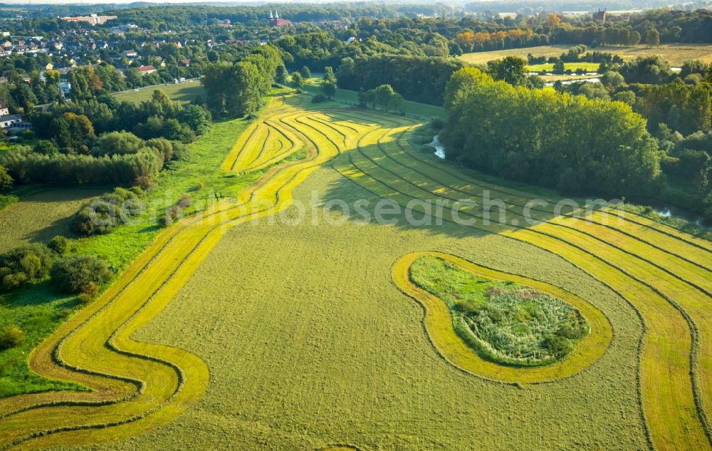 Hamm from the bird's eye view: Structures on agricultural fields in Hamm in the state North Rhine-Westphalia, Germany