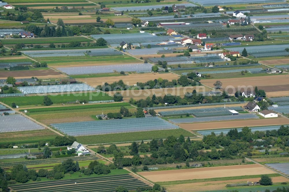 Heidelberg from above - Structures on agricultural fields on Handschuhsheimer Feld in Heidelberg in the state of Baden-Wuerttemberg