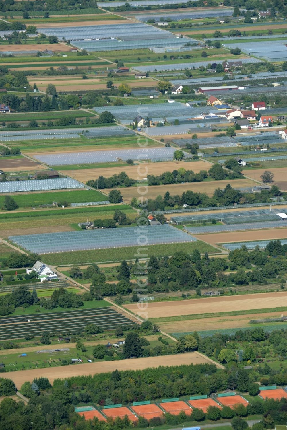 Heidelberg from the bird's eye view: Structures on agricultural fields on Handschuhsheimer Feld in Heidelberg in the state of Baden-Wuerttemberg