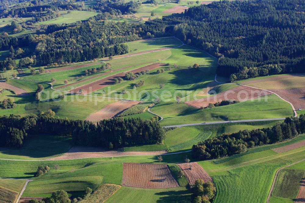 Hasel from the bird's eye view: Structures and sinkholes in agricultural fields and forests in the karst landscape in Hasel in the state of Baden-Wuerttemberg