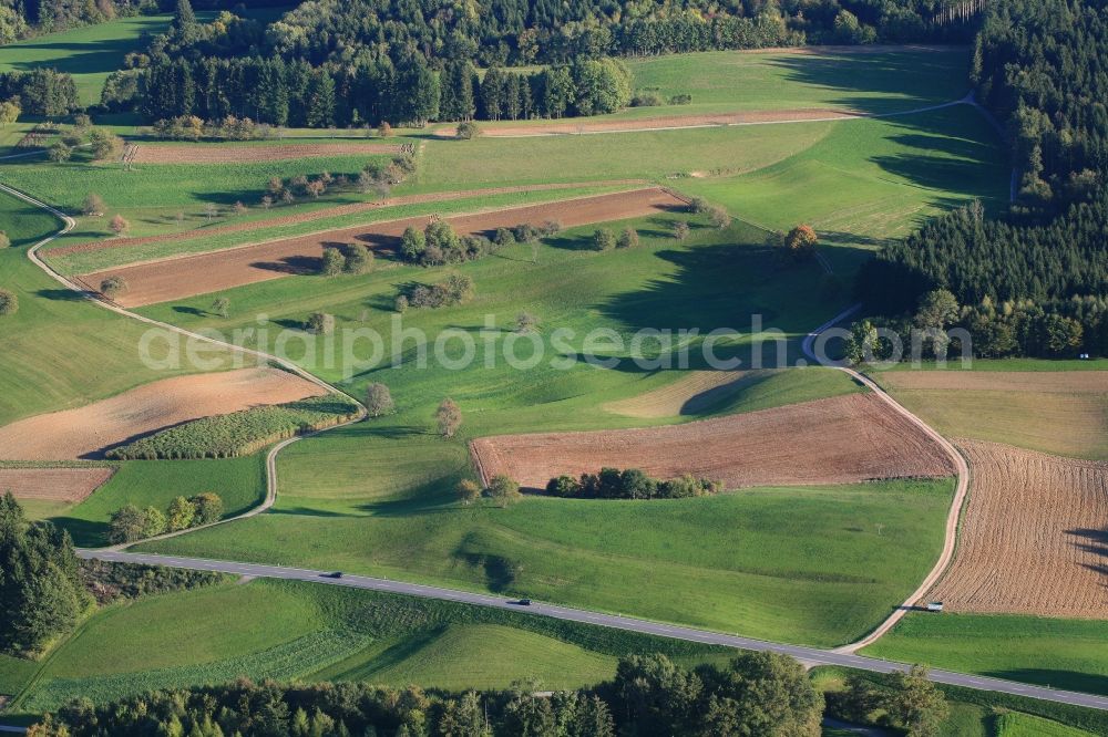 Aerial image Hasel - Structures and sinkholes in agricultural fields and forests in the karst landscape in Hasel in the state of Baden-Wuerttemberg