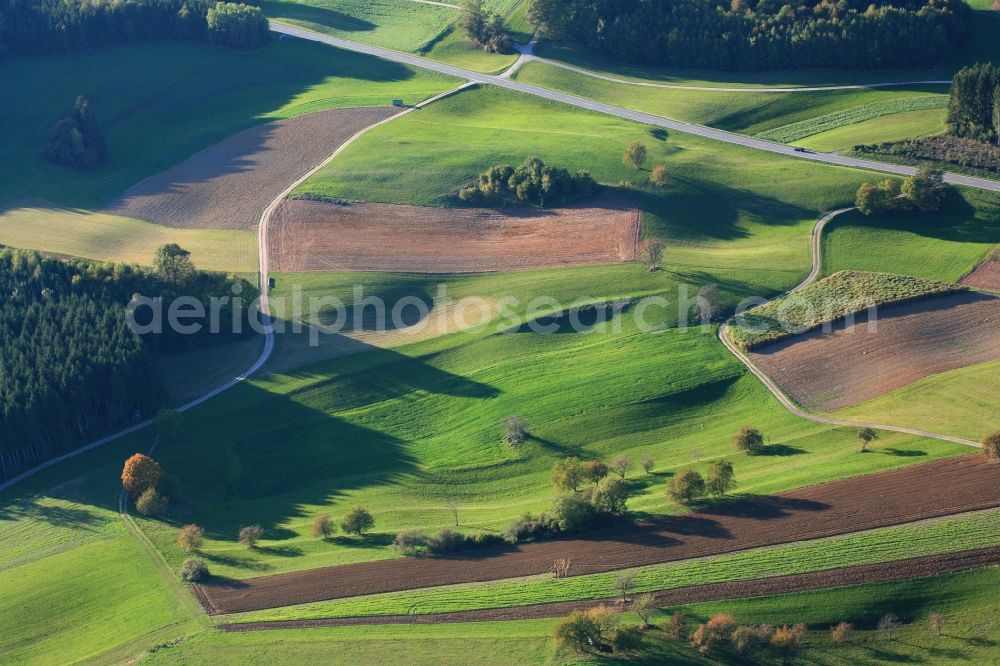 Hasel from above - Structures and sinkholes in agricultural fields and forests in the karst landscape in Hasel in the state of Baden-Wuerttemberg