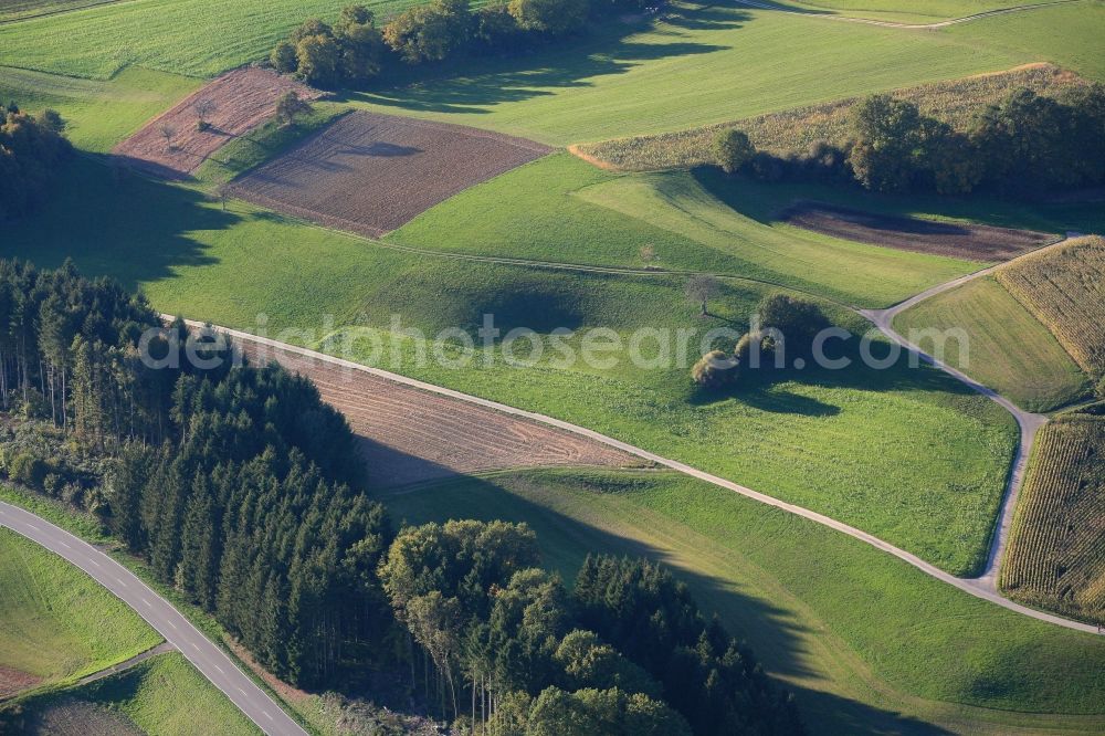 Aerial image Hasel - Structures and sinkholes in agricultural fields and forests in the karst landscape in Hasel in the state of Baden-Wuerttemberg