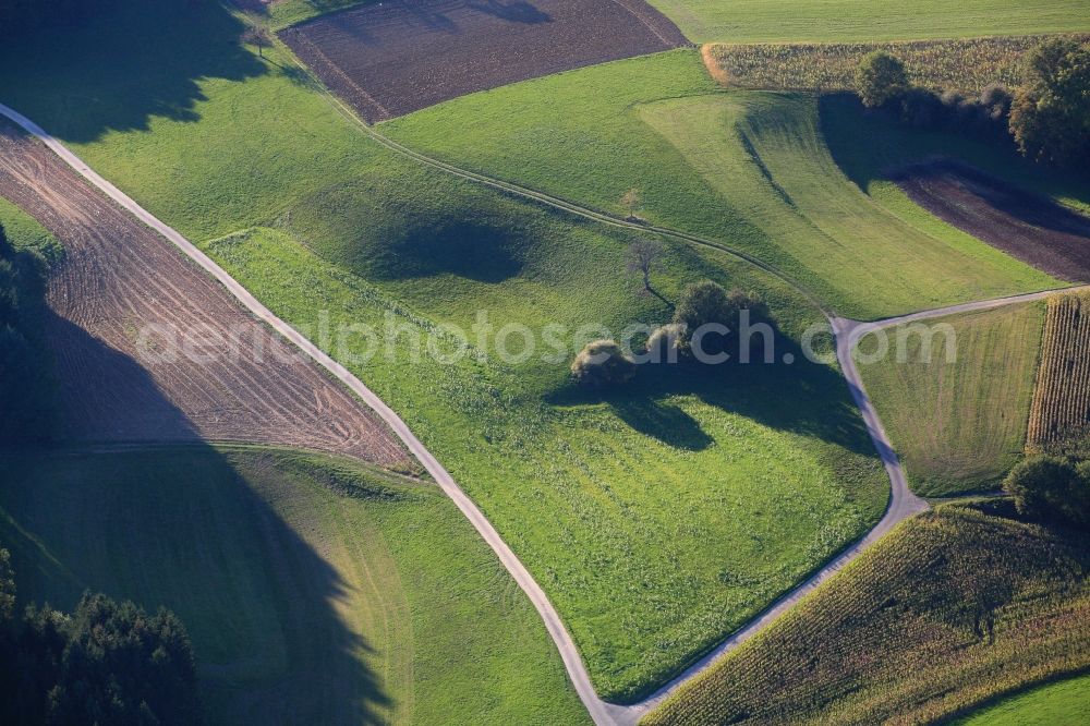 Aerial photograph Hasel - Structures and sinkholes in agricultural fields and forests in the karst landscape in Hasel in the state of Baden-Wuerttemberg