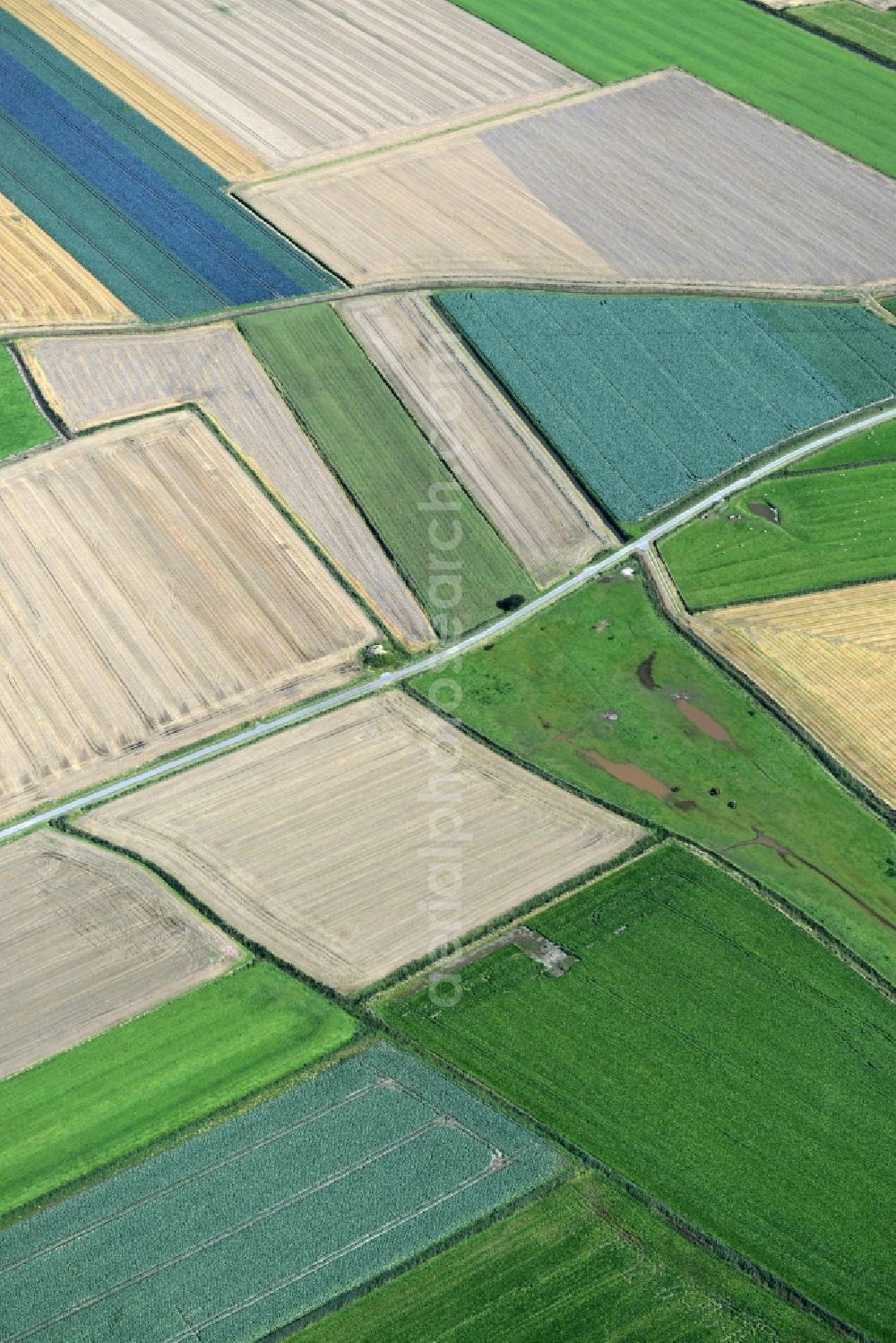 Helse from above - Structures on agricultural fields in Helse in the state Schleswig-Holstein