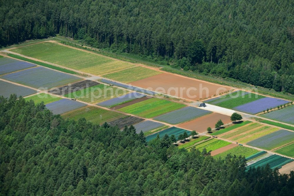 Aerial image Hermannshof - Structures on agricultural fields in Hermannshof in the state Bavaria, Germany