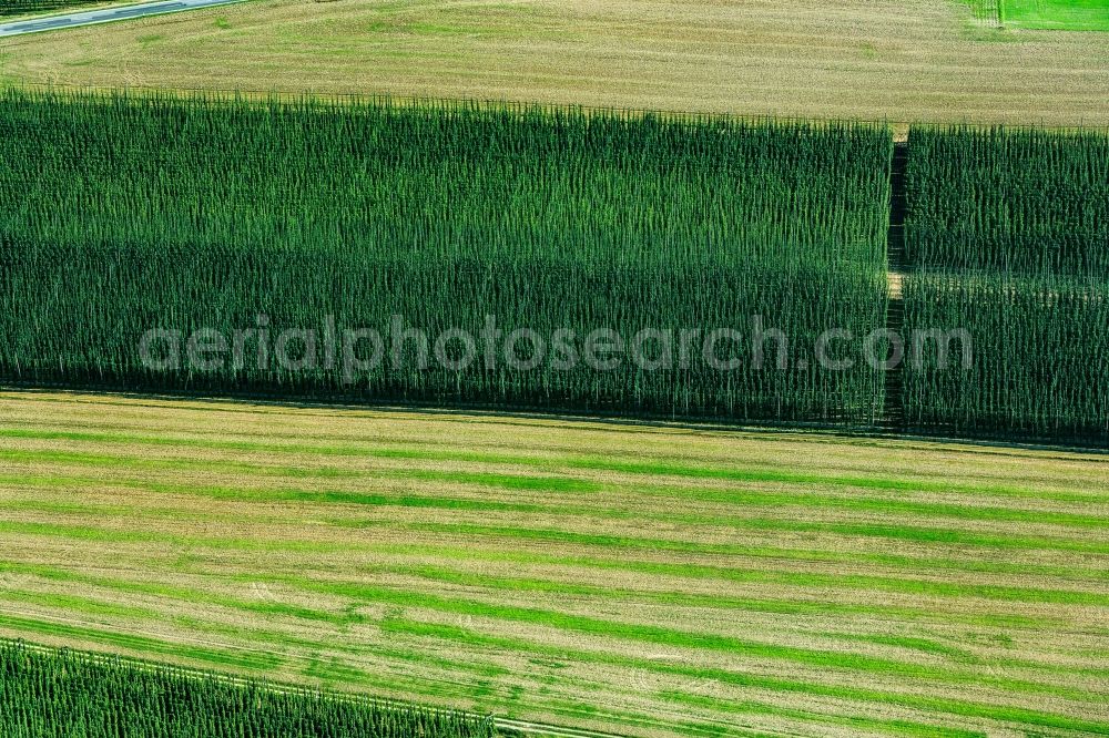 Willersdorf from the bird's eye view: Structures on agricultural fields in Willersdorf in the state Bavaria, Germany