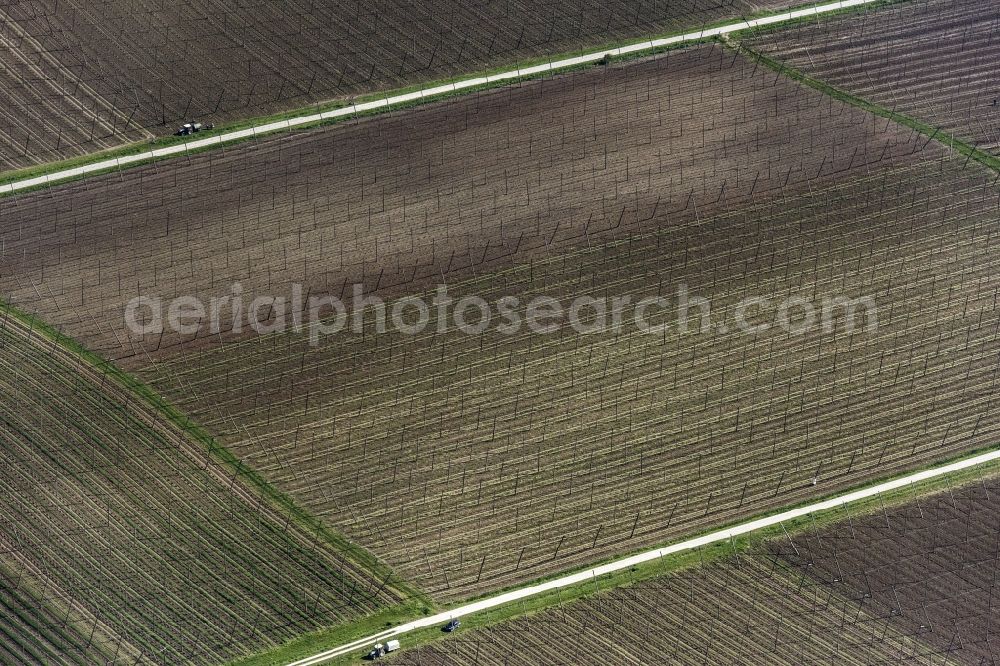 Aerial image Train - Structures on agricultural fields Hopfenfeld in Train in the state Bavaria, Germany