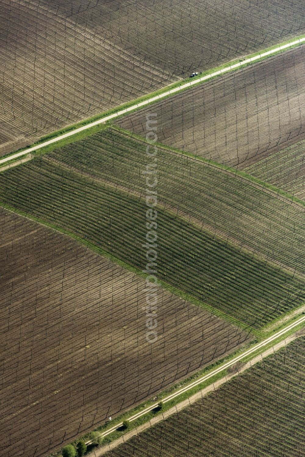 Aerial photograph Train - Structures on agricultural fields Hopfenfeld in Train in the state Bavaria, Germany