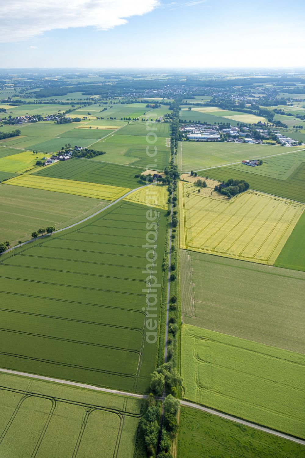 Aerial image Illingen - Structures on agricultural fields in Illingen in the state North Rhine-Westphalia, Germany