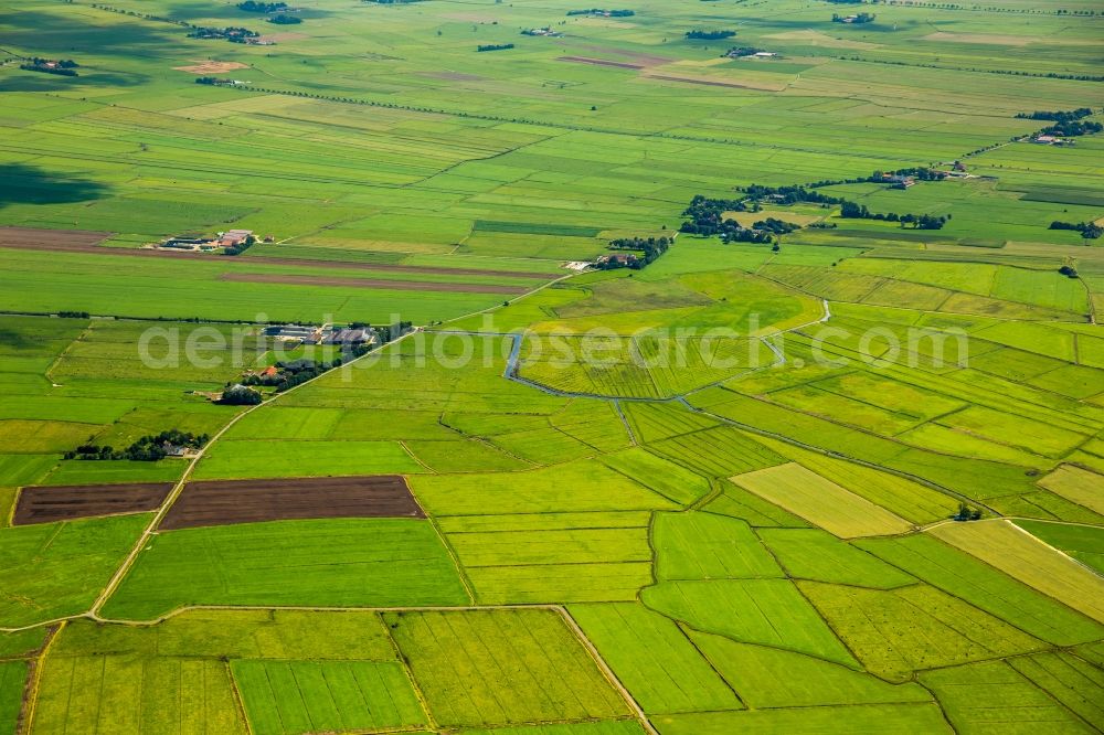 Jemgum from above - Structures on agricultural fields in Jemgum in the state Lower Saxony