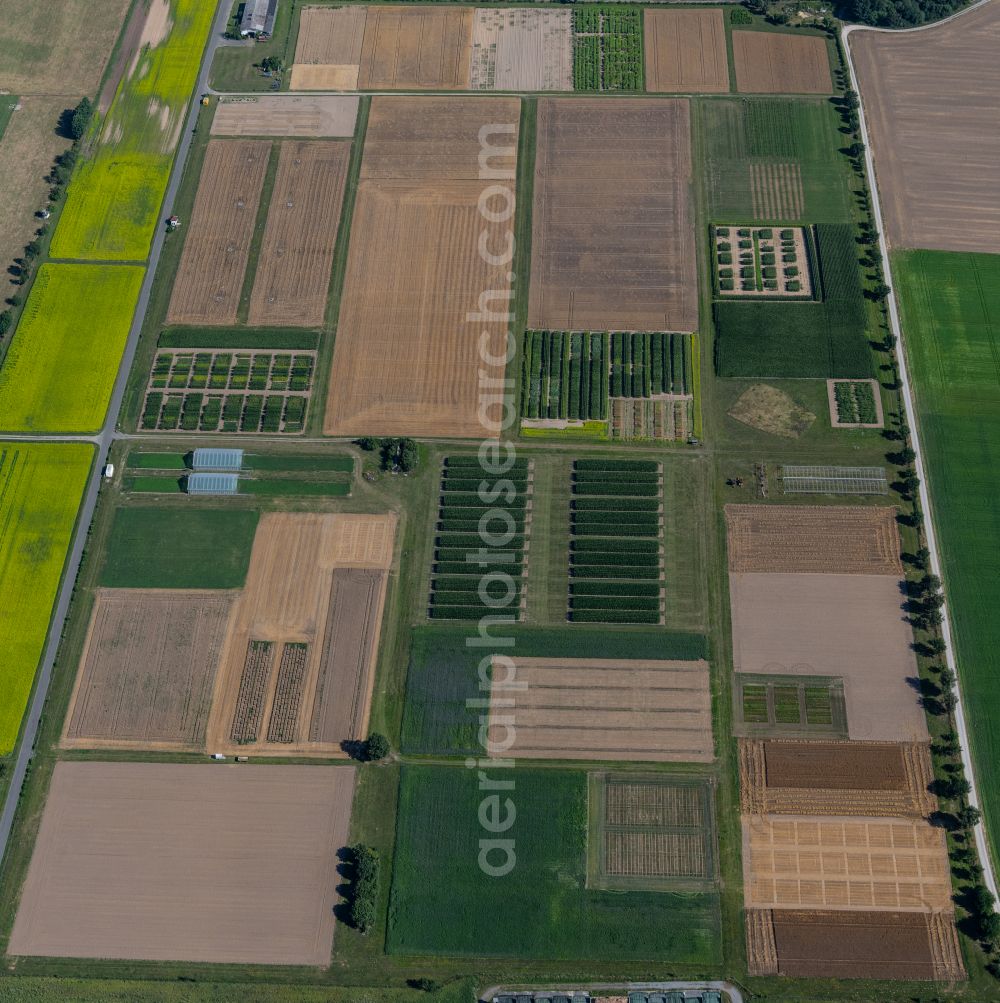 Braunschweig from the bird's eye view: Structures on agricultural test fields and test series des Johann Heinrich von Thuenen-Institut in the district Lehndorf-Watenbuettel in Brunswick in the state Lower Saxony, Germany