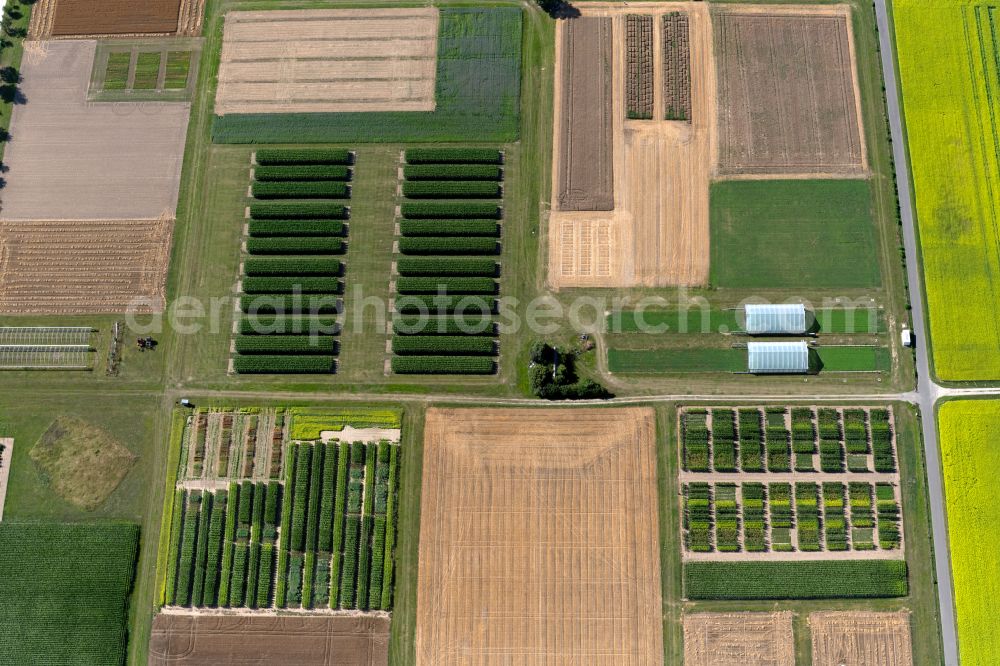 Aerial image Braunschweig - Structures on agricultural test fields and test series des Johann Heinrich von Thuenen-Institut in the district Lehndorf-Watenbuettel in Brunswick in the state Lower Saxony, Germany