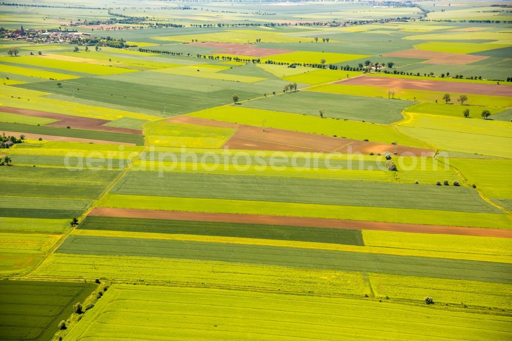 Aerial image Kacik - Structures on agricultural fields in Kacik in Pomorskie, Poland