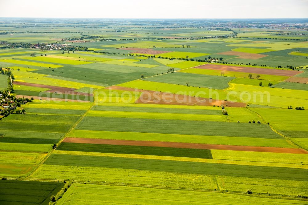 Kacik from above - Structures on agricultural fields in Kacik in Pomorskie, Poland