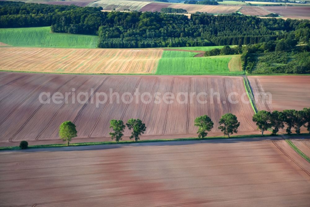 Aerial photograph Kehmstedt - Structures on agricultural fields in Kehmstedt in the state Thuringia, Germany