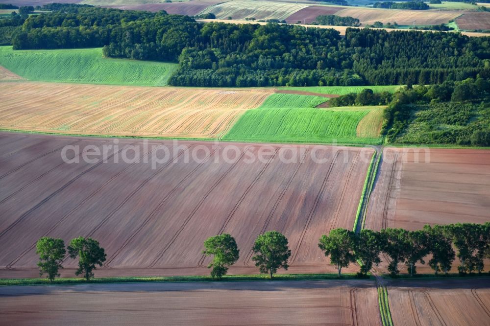 Kehmstedt from above - Structures on agricultural fields in Kehmstedt in the state Thuringia, Germany