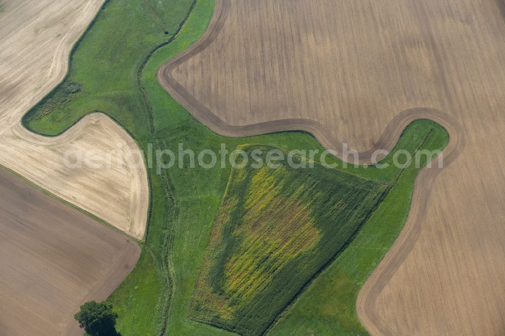 Aerial photograph Klein Kordshagen - Structures on agricultural fields in Klein Kordshagen in the state Mecklenburg - Western Pomerania, Germany