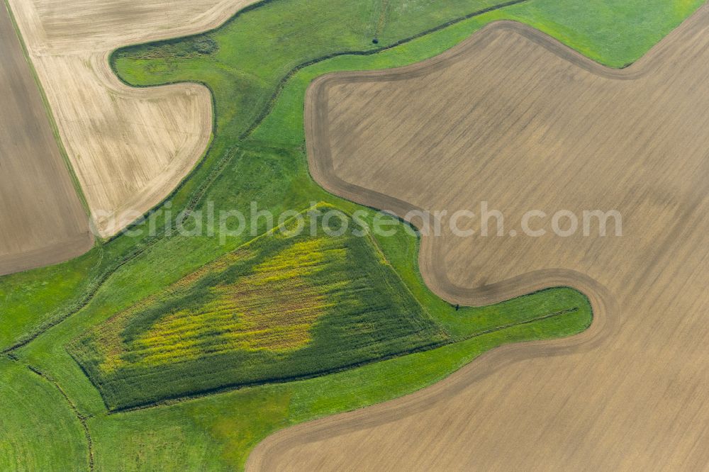 Klein Kordshagen from the bird's eye view: Structures on agricultural fields in Klein Kordshagen in the state Mecklenburg - Western Pomerania, Germany