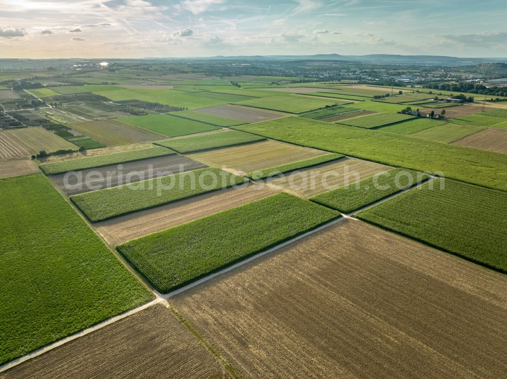 Kornwestheim from the bird's eye view: Geometric structures and shapes on agricultural fields in Kornwestheim in the federal state of Baden-Wuerttemberg