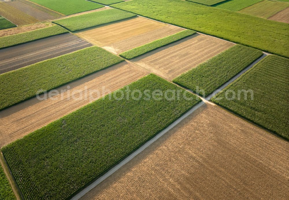 Kornwestheim from above - Geometric structures and shapes on agricultural fields in Kornwestheim in the federal state of Baden-Wuerttemberg