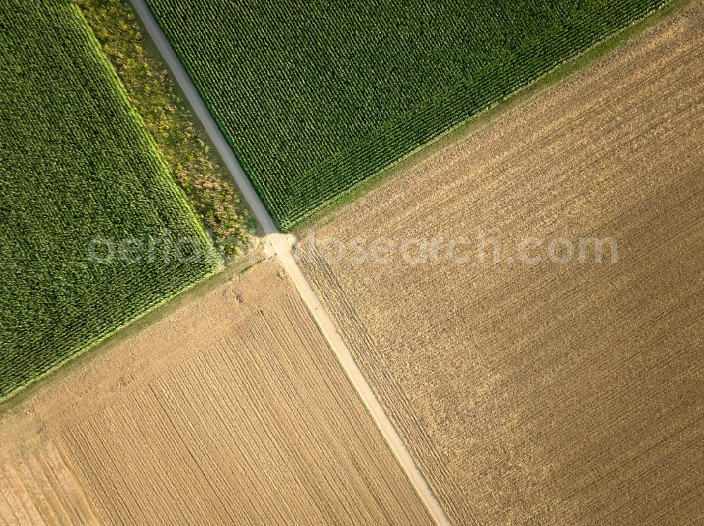 Aerial image Kornwestheim - Structures on agricultural fields in Kornwestheim in the state Baden-Wuerttemberg, Germany