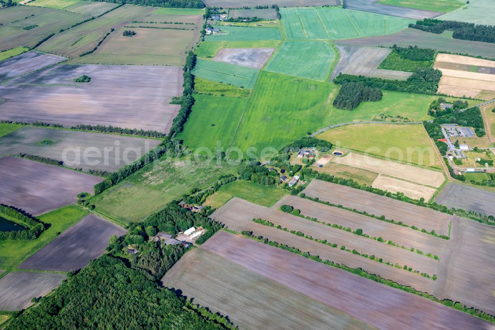 Ladelund from the bird's eye view: Structures on agricultural fields in Ladelund in the state Schleswig-Holstein, Germany