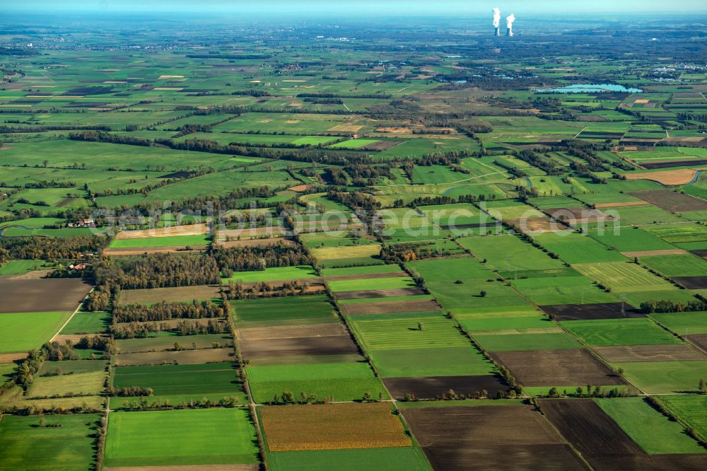 Aerial image Langenau - Structures on agricultural fields in Langenau in the state Baden-Wuerttemberg, Germany