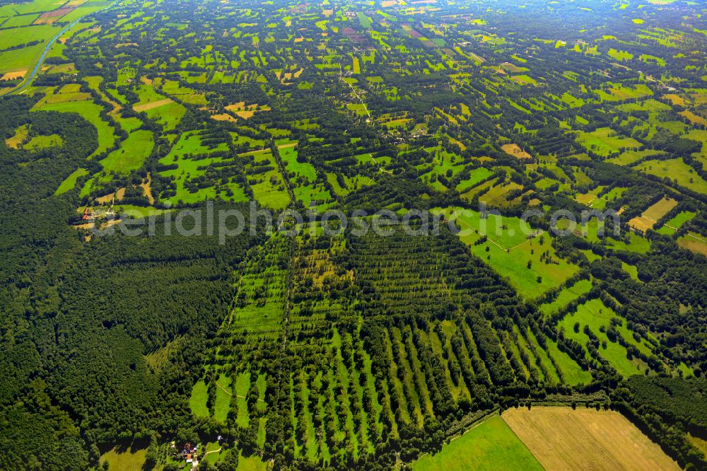 Aerial image Leipe - Structures on agricultural fields in Leipe at Spreewald in the state Brandenburg, Germany