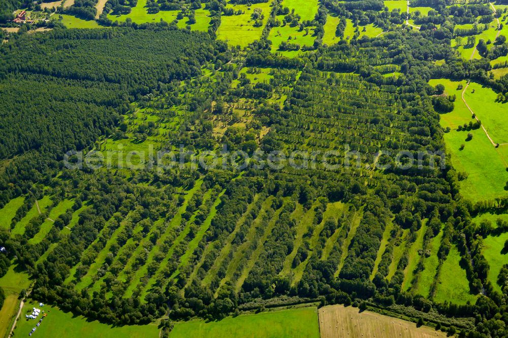 Aerial photograph Leipe - Structures on agricultural fields in Leipe at Spreewald in the state Brandenburg, Germany