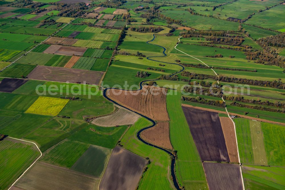 Aerial image Leipheim - Structures on agricultural fields in Leipheim in the state Bavaria, Germany