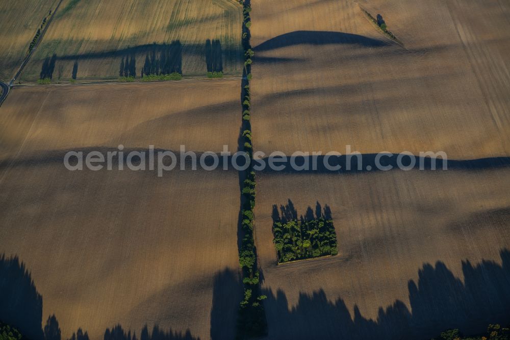 Lodersleben from above - Structures on agricultural fields in Lodersleben in the state Saxony-Anhalt, Germany