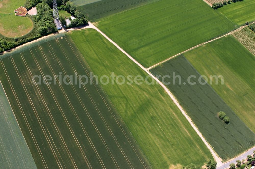 Mainz, Hechtsheim from the bird's eye view: Structures on agricultural fields in Mainz, Hechtsheim in the state Rhineland-Palatinate