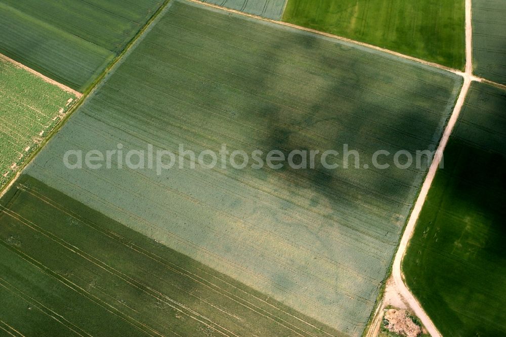 Aerial image Mainz, Hechtsheim - Structures on agricultural fields in Mainz, Hechtsheim in the state Rhineland-Palatinate