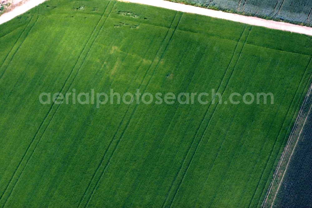 Mainz, Hechtsheim from above - Structures on agricultural fields in Mainz, Hechtsheim in the state Rhineland-Palatinate