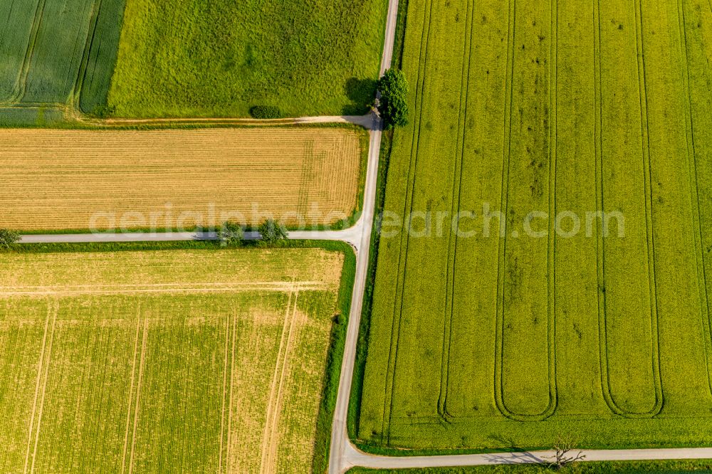 Aerial photograph Meiningsen - Structures on agricultural fields in Meiningsen in the state North Rhine-Westphalia, Germany