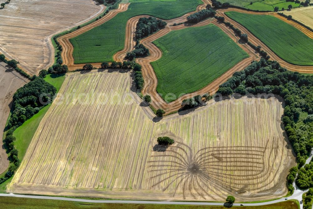 Merkendorf from the bird's eye view: Structures on agricultural fields in Merkendorf in the state Schleswig-Holstein, Germany