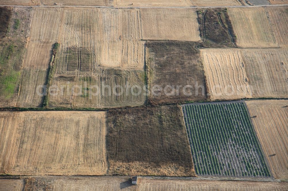 Aerial photograph Manacor - Structures on agricultural fields after the harvest at Manacor in Mallorca in Balearic Islands, Spain