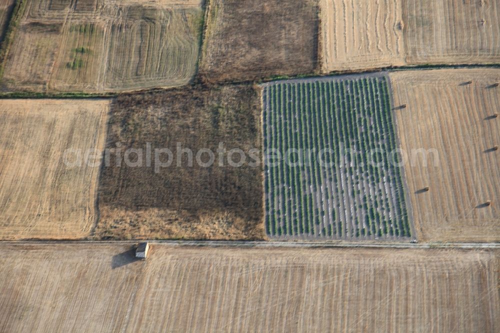 Manacor from above - Structures on agricultural fields after the harvest at Manacor in Mallorca in Balearic Islands, Spain